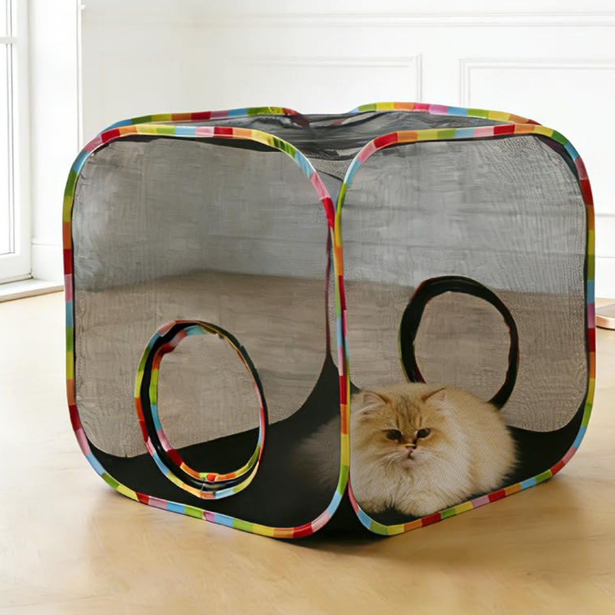 Cube: a fluffy cat sitting inside the pop-up mesh cube on an indoor floor