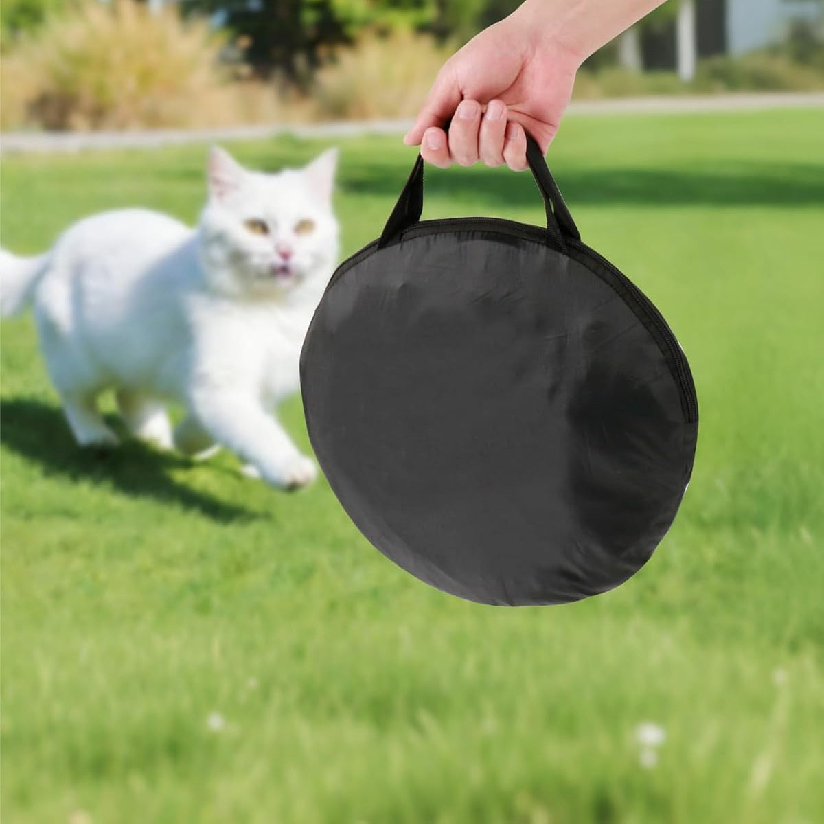 Black carry bag held by hand on a lawn with a white cat running behind it
