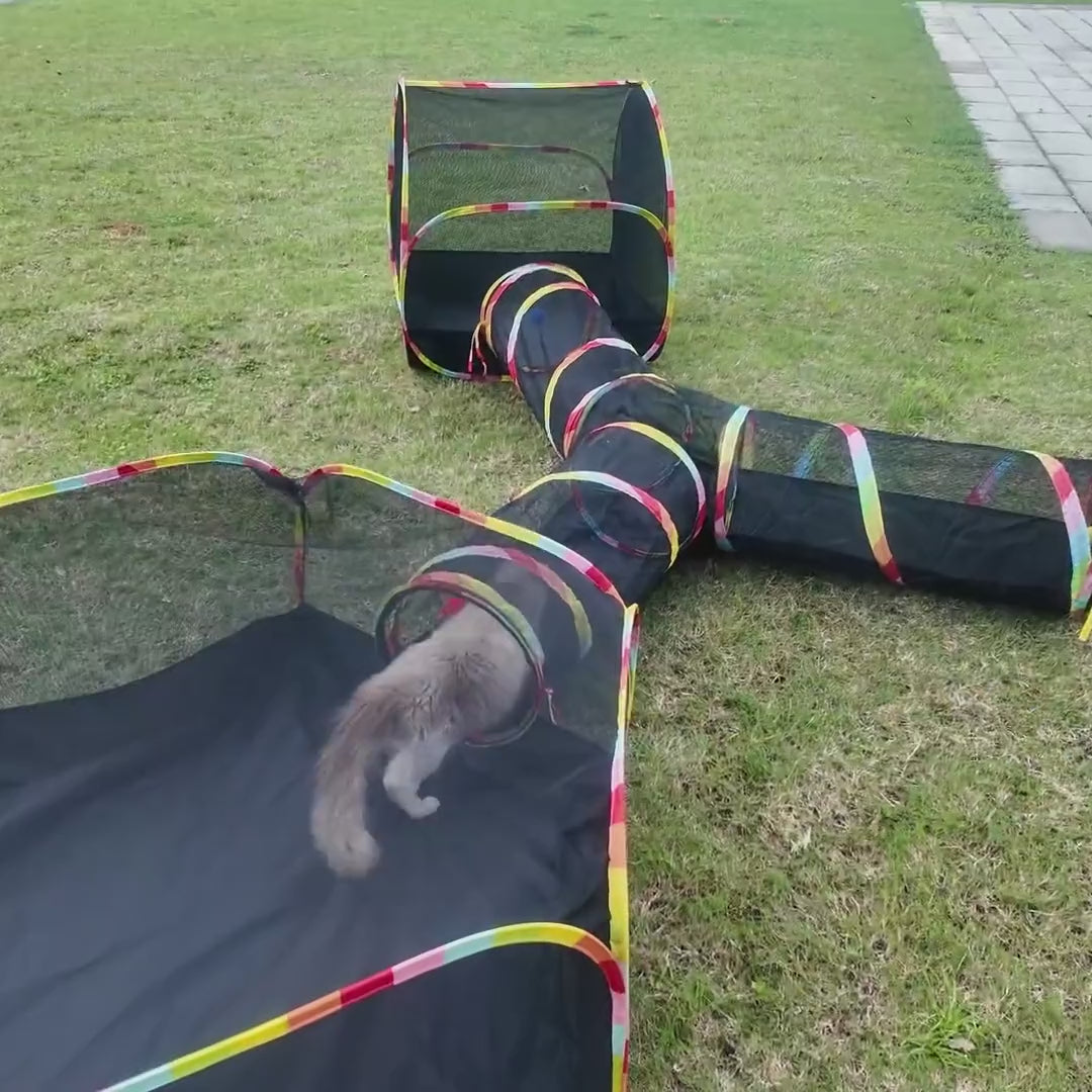 3-in-1 Set: cat running through the Y-shaped tunnel between the two tents