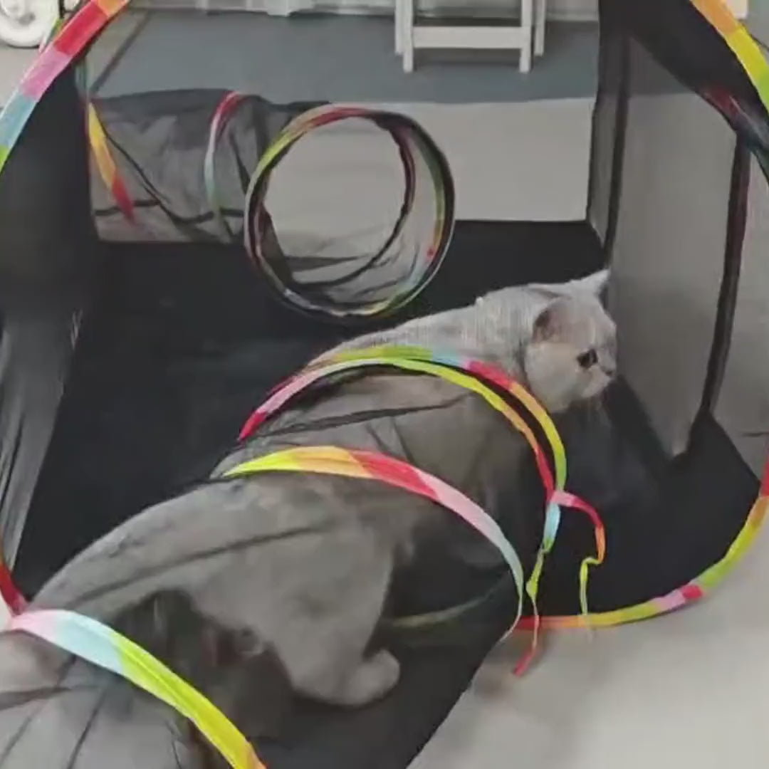 2-in-1 Set: cat playing in the ring tunnel next to the playhouse tent
